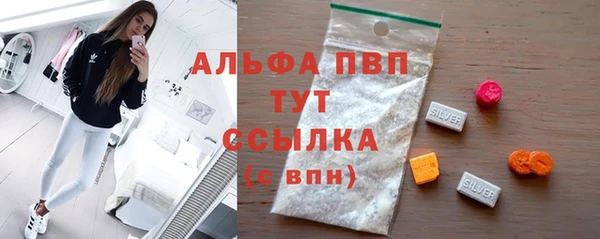 сатива Бородино