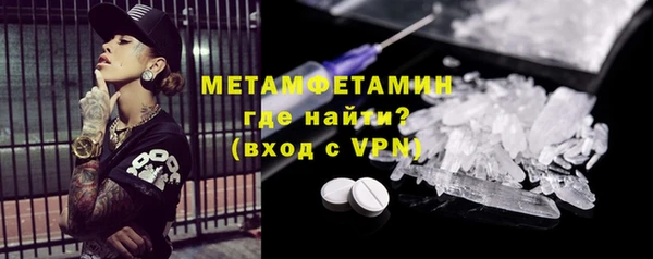 сатива Бородино