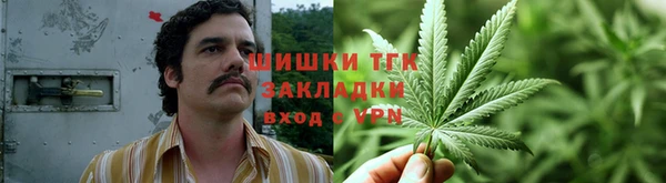 хмурый Бронницы
