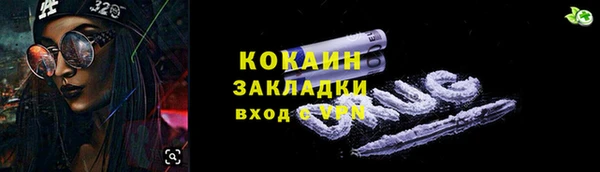 сатива Бородино