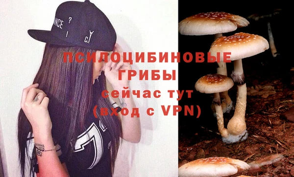хмурый Бронницы