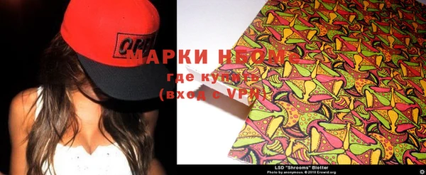 сатива Бородино