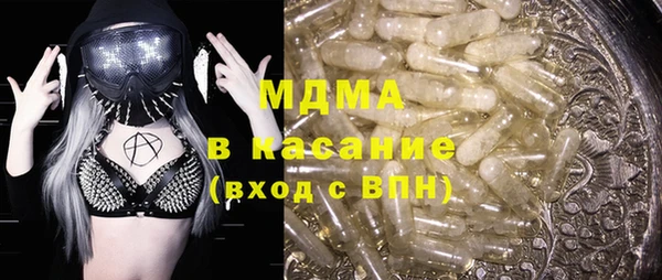 сатива Бородино