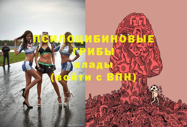 хмурый Бронницы