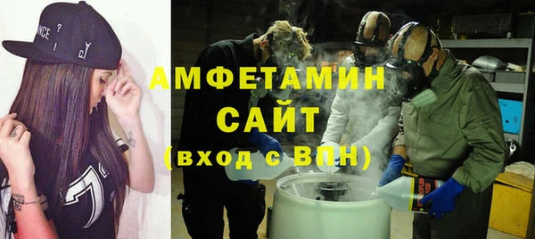 сатива Бородино