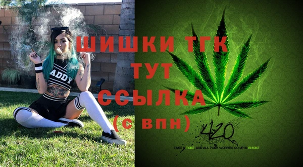 сатива Бородино