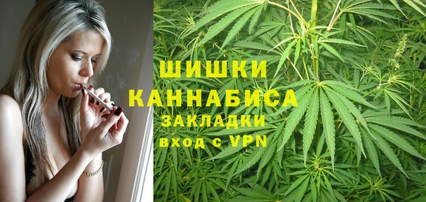 сатива Бородино